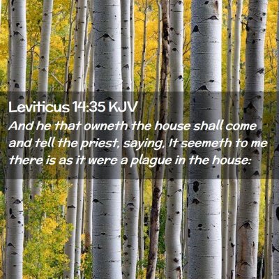 Leviticus 14:35 KJV Free Bible Images