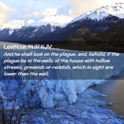 Leviticus 14:37 KJV Free Bible Images