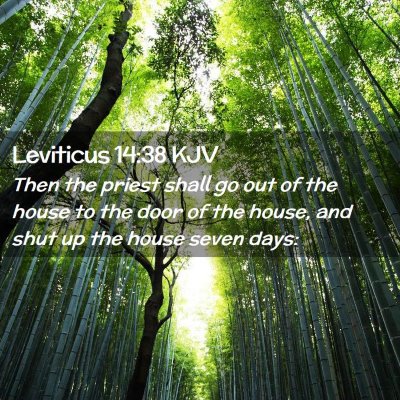 Leviticus 14:38 KJV Free Bible Images