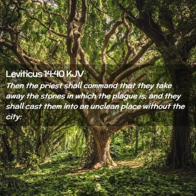 Leviticus 14:40 KJV Free Bible Images