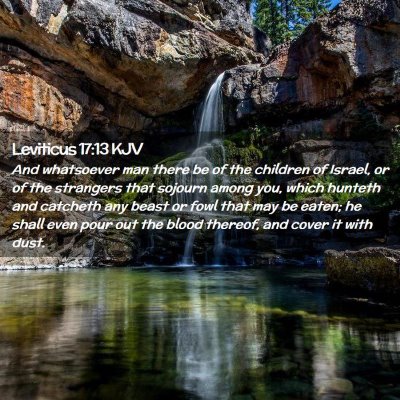 Leviticus 17:13 KJV Free Bible Images