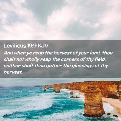 Leviticus 19:9 KJV Free Bible Images