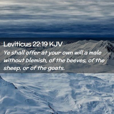 Leviticus 22:19 KJV Free Bible Images