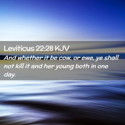 Leviticus 22:28 KJV Free Bible Images