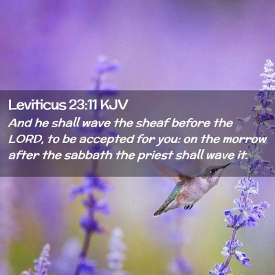 Leviticus 23:11 KJV Free Bible Images