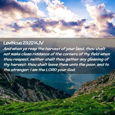 Leviticus 23:22 KJV Free Bible Images