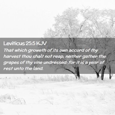 Leviticus 25:5 KJV Free Bible Images