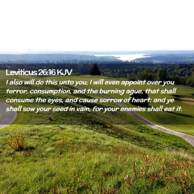 Leviticus 26:16 KJV Free Bible Images