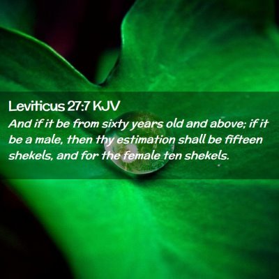 Leviticus 27:7 KJV Free Bible Images