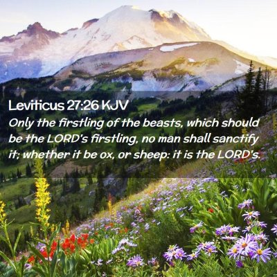 Leviticus 27:26 KJV Free Bible Images