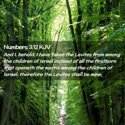 Numbers 3:12 KJV Free Bible Images