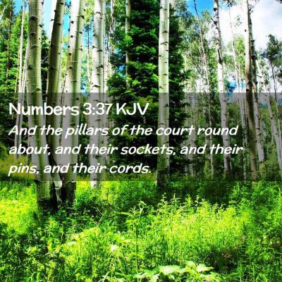 Numbers 3:37 KJV Free Bible Images