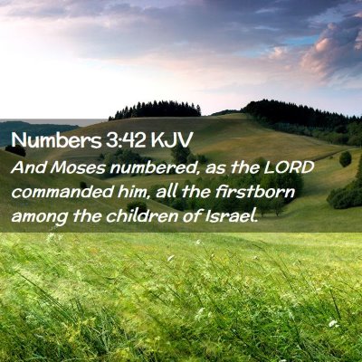 Numbers 3:42 KJV Free Bible Images