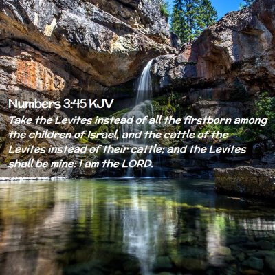 Numbers 3:45 KJV Free Bible Images