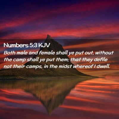 Numbers 5:3 KJV Free Bible Images