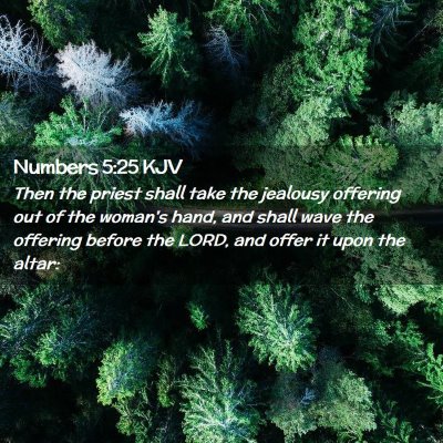 Numbers 5:25 KJV Free Bible Images