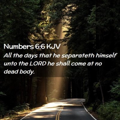 Numbers 6:6 KJV Free Bible Images