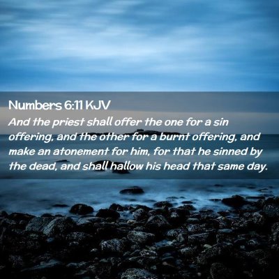 Numbers 6:11 KJV Free Bible Images