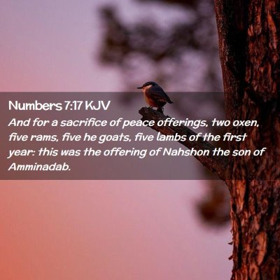 Numbers 7:17 KJV Free Bible Images