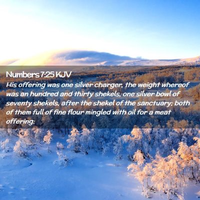 Numbers 7:25 KJV Free Bible Images