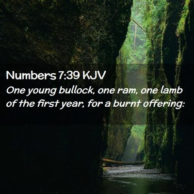 Numbers 7:39 KJV Free Bible Images