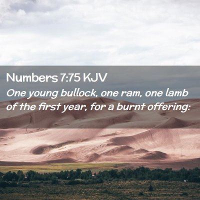 Numbers 7:75 KJV Free Bible Images