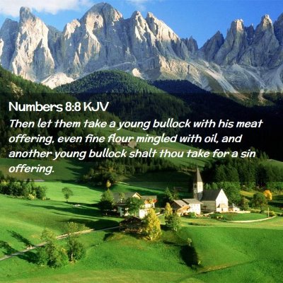 Numbers 8:8 KJV Free Bible Images