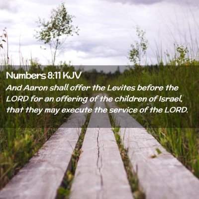 Numbers 8:11 KJV Free Bible Images