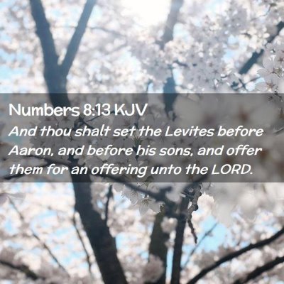 Numbers 8:13 KJV Free Bible Images