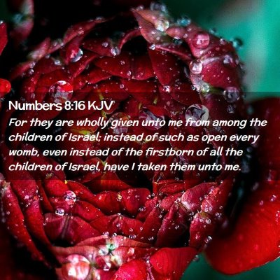 Numbers 8:16 KJV Free Bible Images