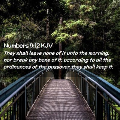 Numbers 9:12 KJV Free Bible Images