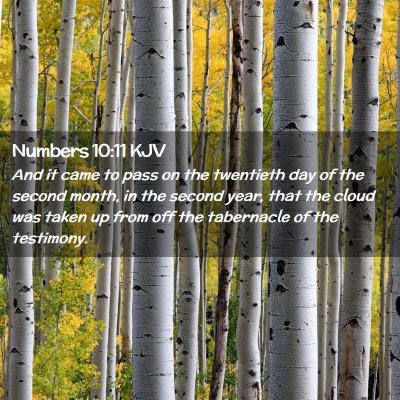 Numbers 10:11 KJV Free Bible Images