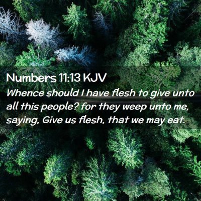 Numbers 11:13 KJV Free Bible Images