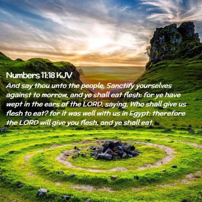 Numbers 11:18 KJV Free Bible Images