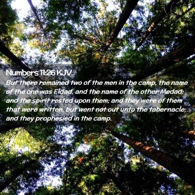 Numbers 11:26 KJV Free Bible Images