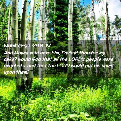 Numbers 11:29 KJV Free Bible Images