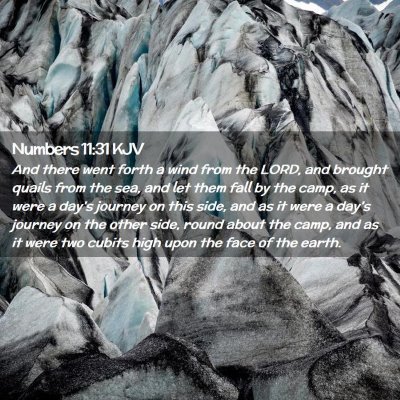 Numbers 11:31 KJV Free Bible Images