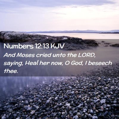 Numbers 12:13 KJV Free Bible Images