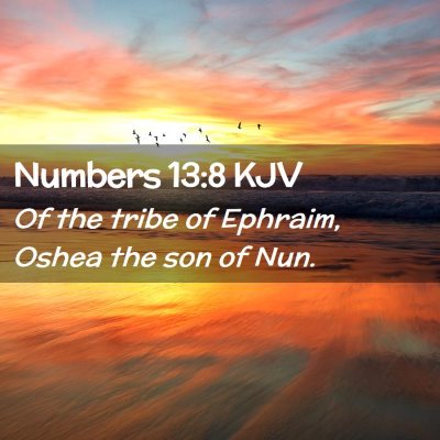 Numbers 13:8 KJV Free Bible Images