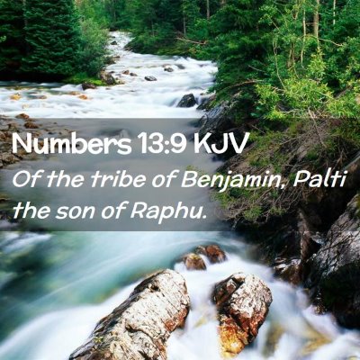 Numbers 13:9 KJV Free Bible Images