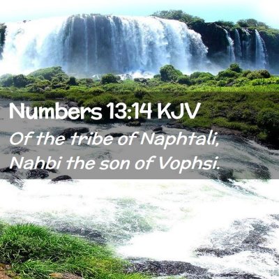 Numbers 13:14 KJV Free Bible Images