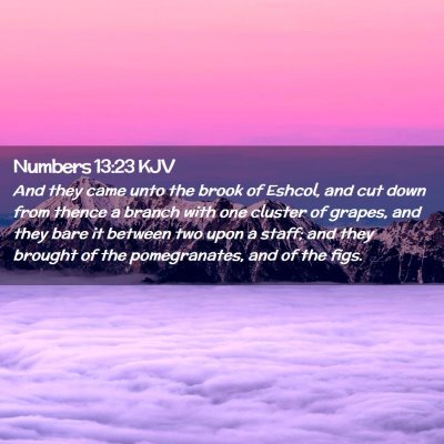 Numbers 13:23 KJV Free Bible Images