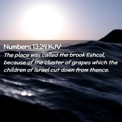 Numbers 13:24 KJV Free Bible Images