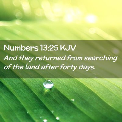 Numbers 13:25 KJV Free Bible Images