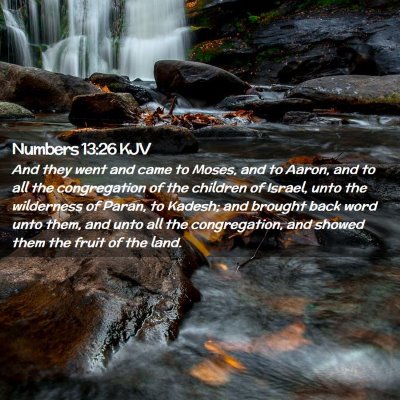 Numbers 13:26 KJV Free Bible Images