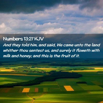 Numbers 13:27 KJV Free Bible Images