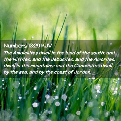 Numbers 13:29 KJV Free Bible Images