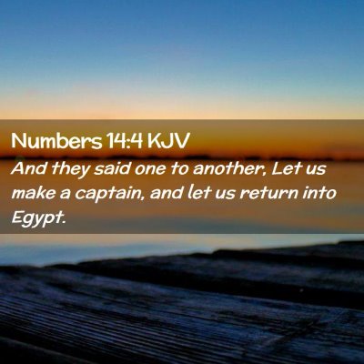 Numbers 14:4 KJV Free Bible Images