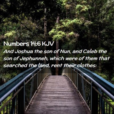 Numbers 14:6 KJV Free Bible Images