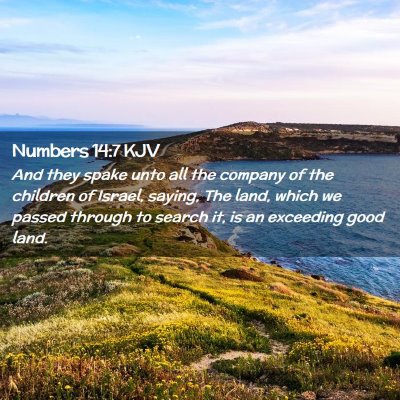 Numbers 14:7 KJV Free Bible Images